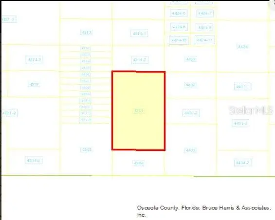 Holopaw Groves Road, Saint Cloud, FL 34773 - Image #3