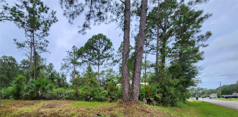 15 Slumber Meadow Trail, Palm Coast, FL 32164 - Image #2