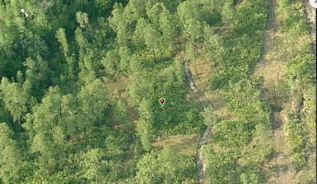 Fort Christmas Road, Orlando, FL 32820 - Image #3