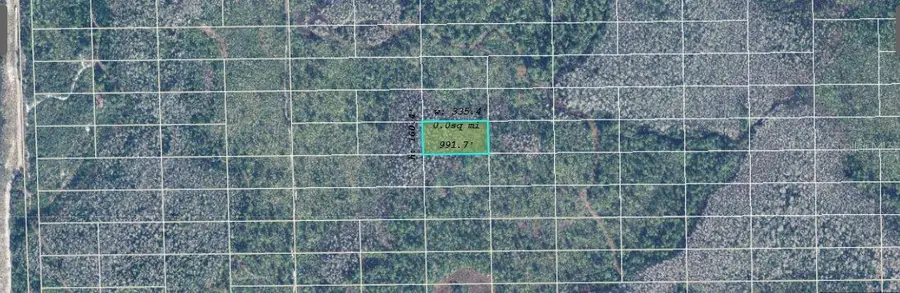 Dill Road, Orlando, FL 32820 - Image #2