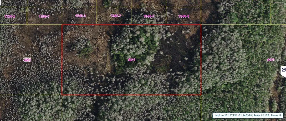 Holopaw Groves Road, Saint Cloud, FL 34773 - Image #1