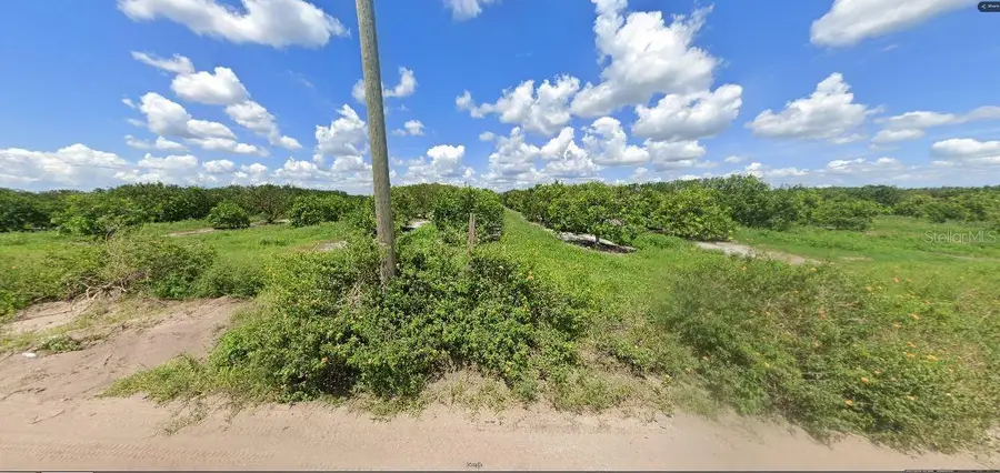 Holopaw Groves Road, Saint Cloud, FL 34773 - Image #3