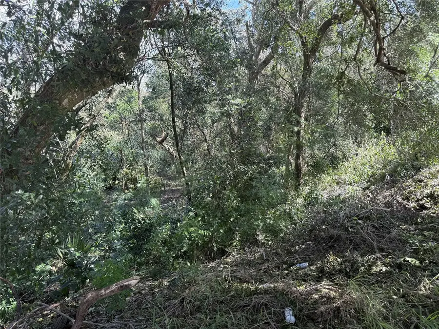 E Minneola Avenue, Clermont, FL 34711 - #2