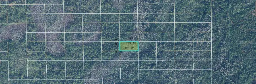 Dill Road, Bithlo, FL 32820 - Image #2