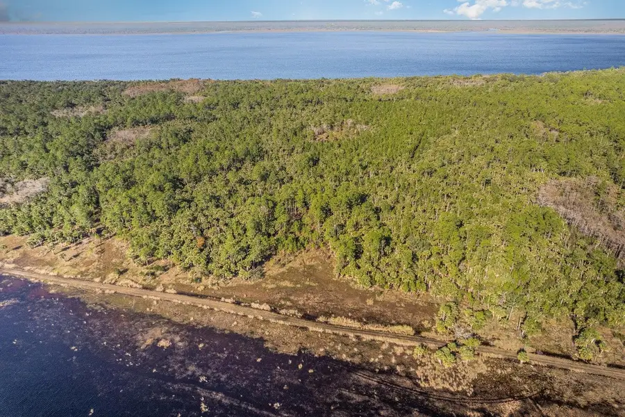 Lake Harney Woods Boulevard, Osteen, FL 32764 - Image #3