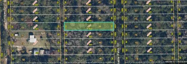 1020 Sable Palm Drive, CHRISTMAS, FL 32709