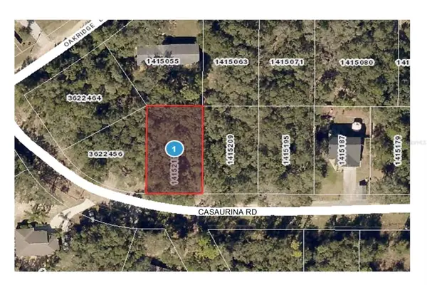 Casaurina Road, LADY LAKE, FL 32159