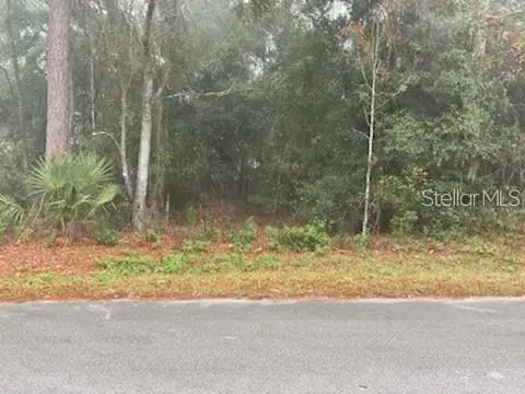 0 SE 99th Avenue, Belleview, FL 34420 - Image #2