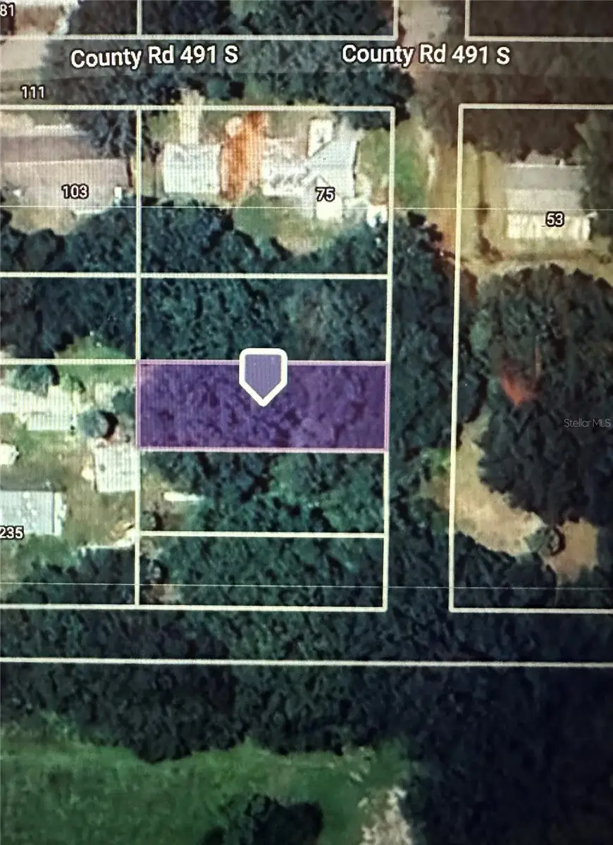 Lot #4, Lake Panasoffkee, FL 33538 - Image #1