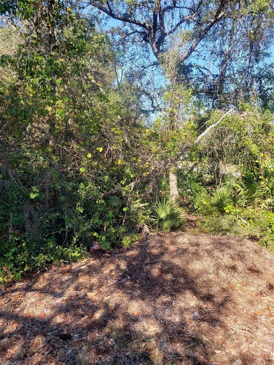 Chestnut Avenue, Orange City, FL 32763 - Image #3