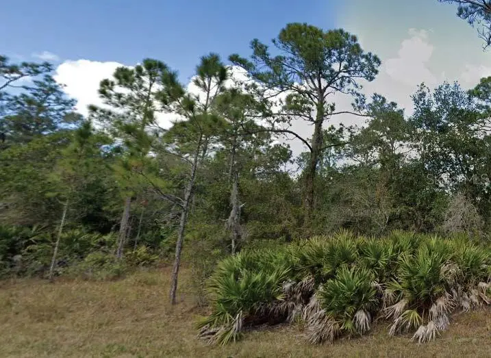 901 Magnolia Drive, Indian Lake Estates, FL 33855 - Image #1