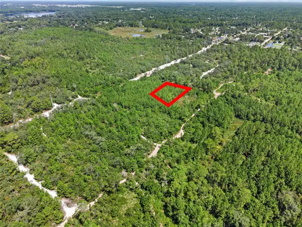 Parcel 230, E Holly Hock Road, DELAND, FL 32724