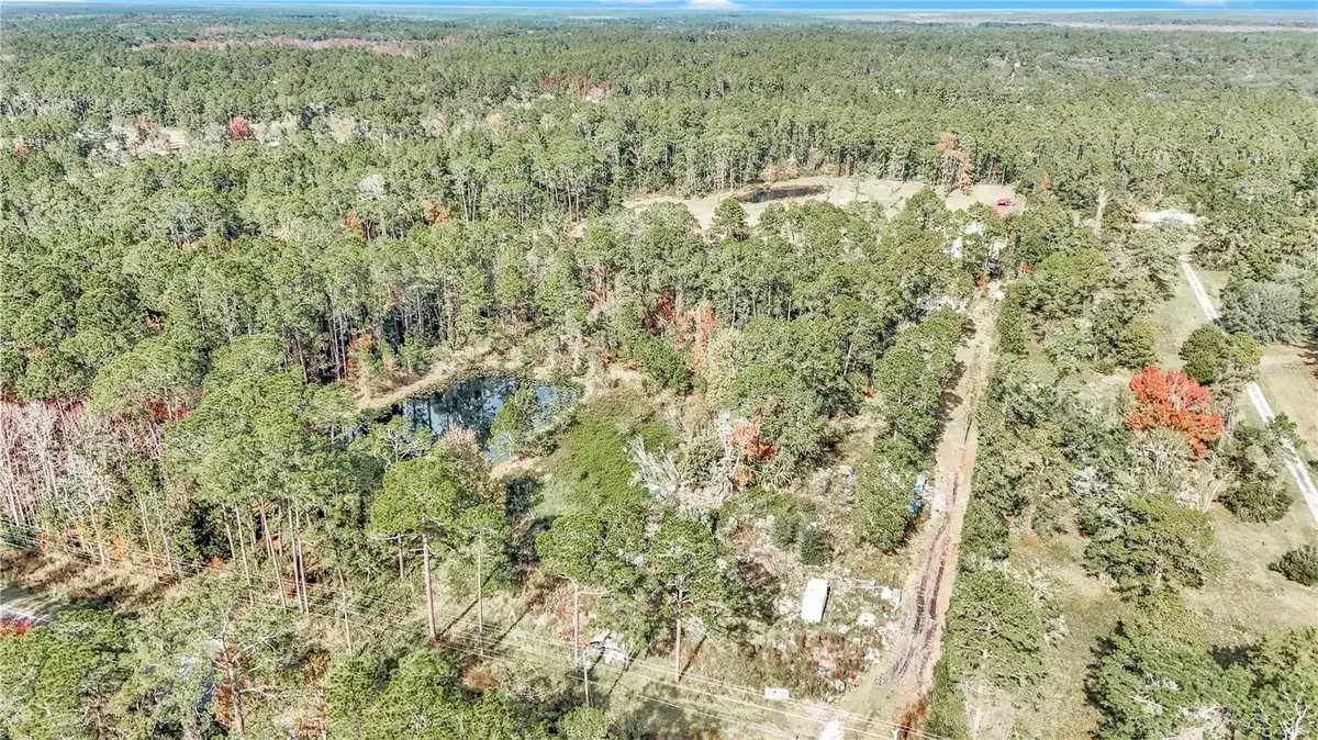 14497 E Highway 316, Fort McCoy, FL 32134 - Image #1