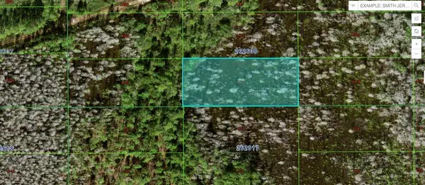 Sweet Hill Rd, POLK CITY, FL 33868