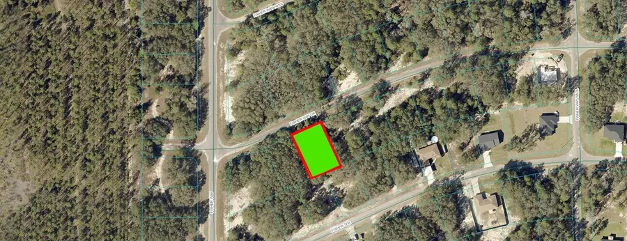 Fisher Way Drive, Ocklawaha, FL 32179 - Image #2