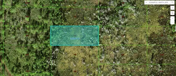 Old Grade Rd, POLK CITY, FL 33868