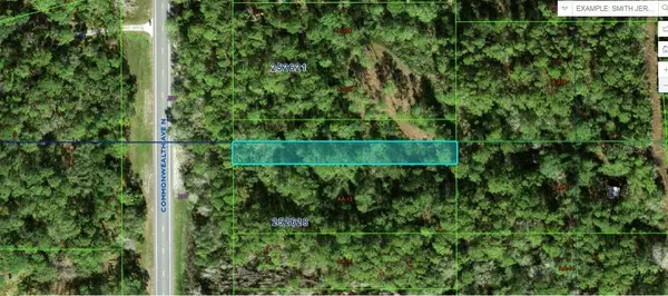 Commonwealth Avenue N, POLK CITY, FL 33868