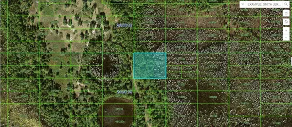 Old Grade Rd, POLK CITY, FL 33868