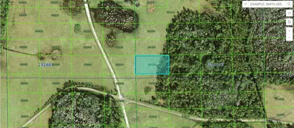 Deen Still Rd Road, POLK CITY, FL 33868