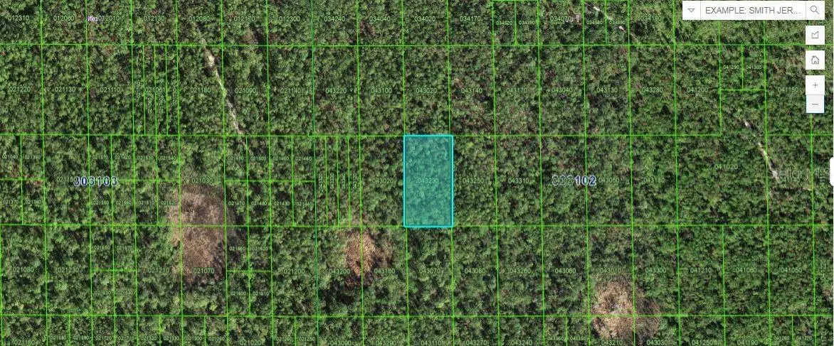 Hwy 60 E, Lake Wales, FL 33898 - Image #1