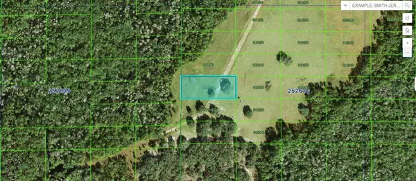 Backland Path Road, POLK CITY, FL 33868