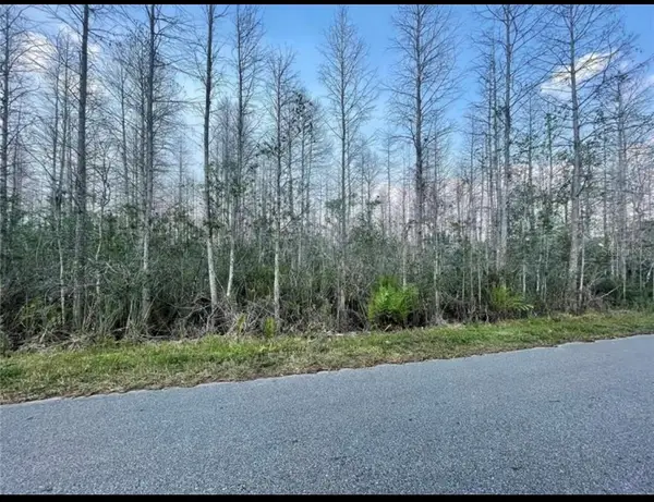 Luna Dr, SAINT CLOUD, FL 34773