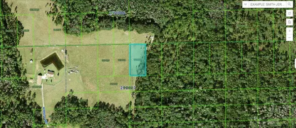 Green Pond Rd, POLK CITY, FL 33868