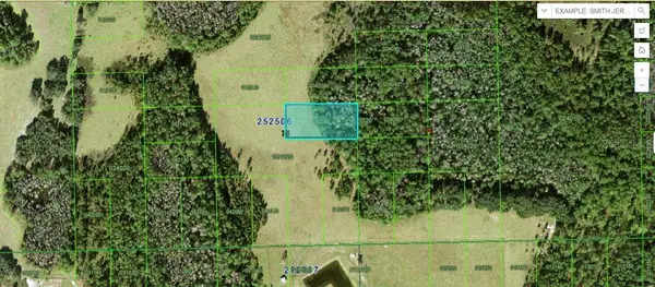 Green Pond Rd, POLK CITY, FL 33868