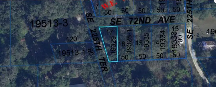 302 SE 65th Avenue, Hawthorne, FL 32640 - Image #3