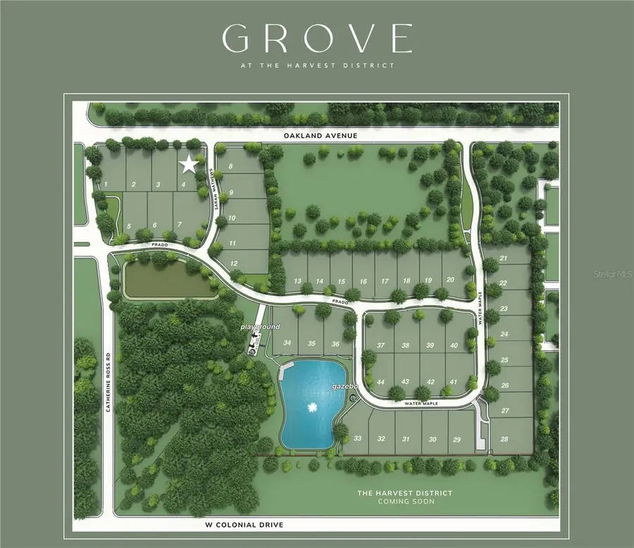 15738 Oakland Avenue, Oakland, FL 34787 - Image #2