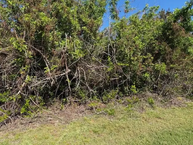 7361 Brookhaven Terrace, Grove City Rotonda, FL 34224 - #3