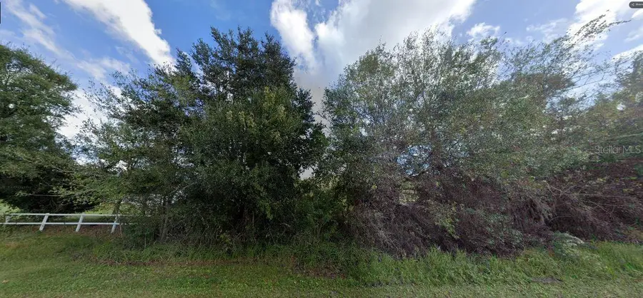 Tall Pine Road, Polk City, FL 33868 - Image #2