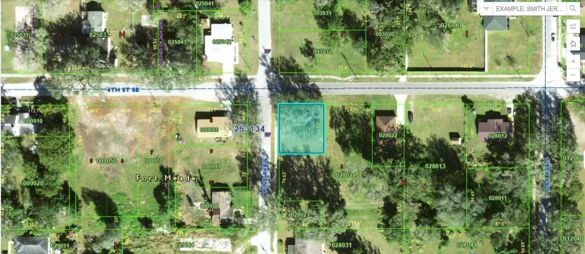 N Pine Avenue, Fort Meade, FL 33841 - Image #1