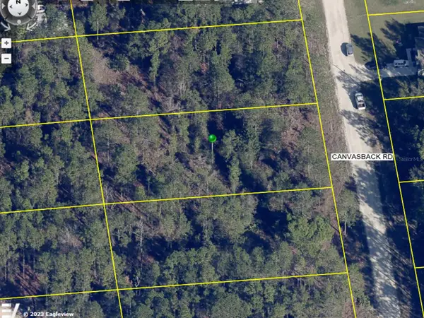 15107 Canvasback Road, BROOKSVILLE, FL 34614