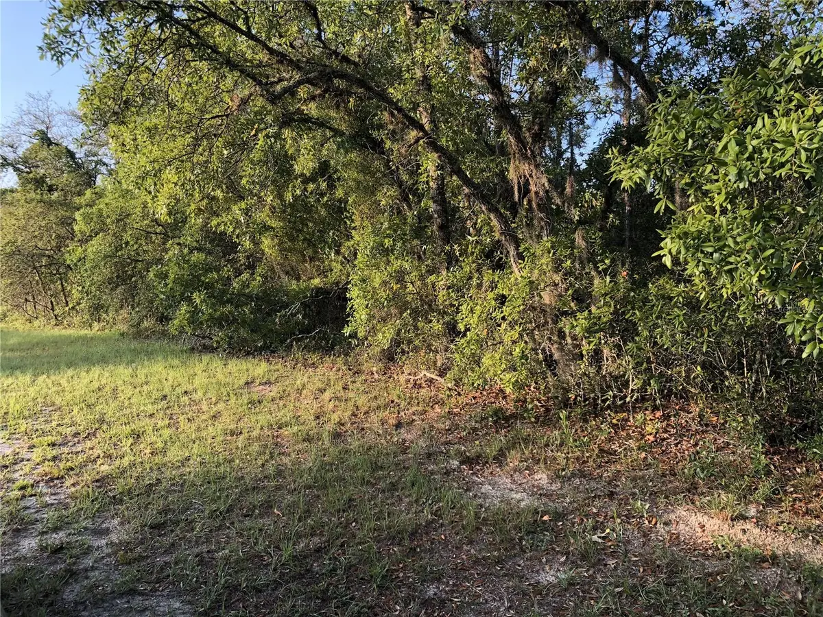 Undertermined, Ocala, FL 34473 - Image #1