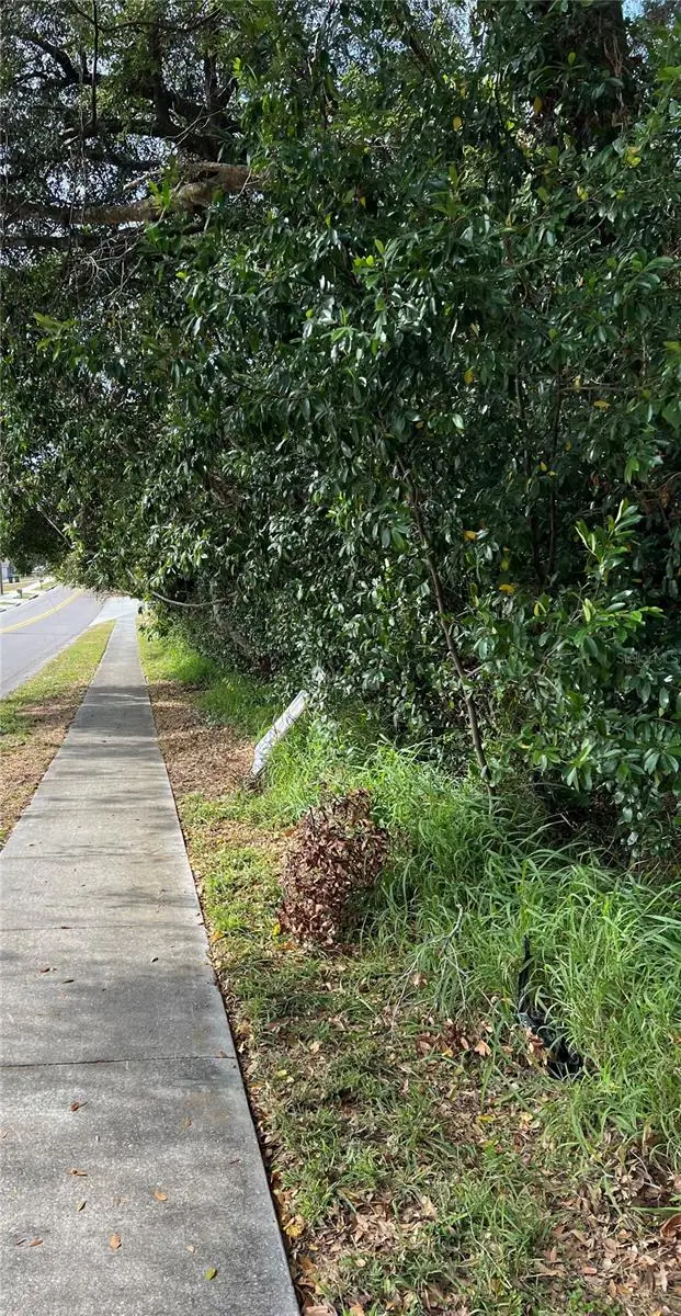 875 Ocoee Apopka Road, Apopka, FL 32703 - Image #2