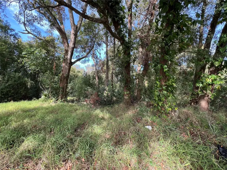 875 Ocoee Apopka Road, Apopka, FL 32703 - Image #3