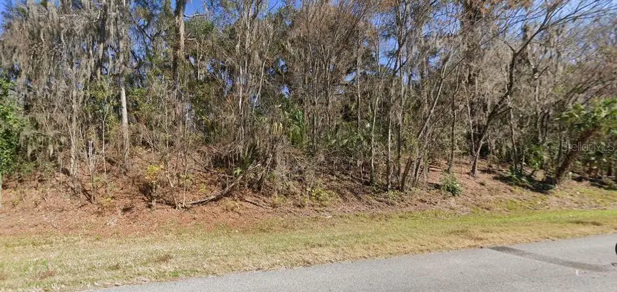 Se Wacahoota Rd, Micanopy, FL 32667 - Image #2