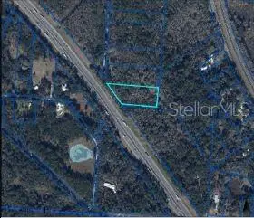 Se Wacahoota Rd, Micanopy, FL 32667 - Image #3