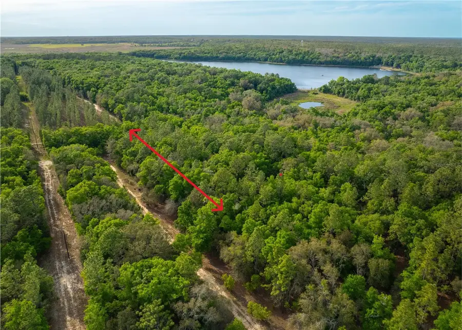 226 Indianapolis Street, Hawthorne, FL 32640 - Image #2