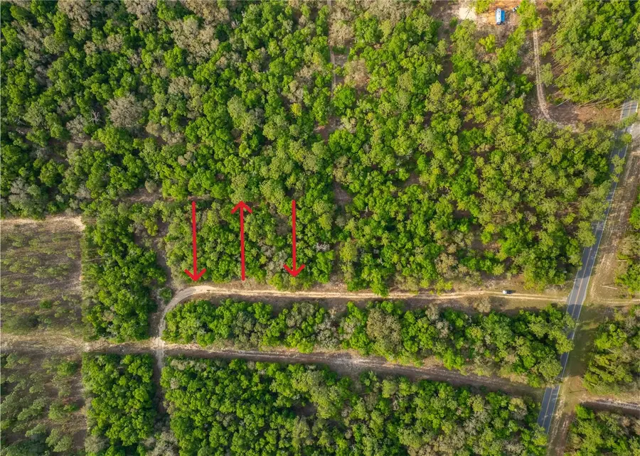 226 Indianapolis Street, Hawthorne, FL 32640 - Image #3