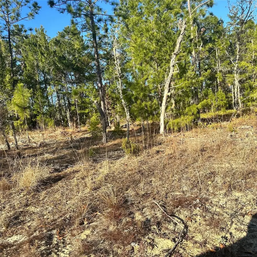 0 Rome Avenue, Interlachen, FL 32148 - Image #2