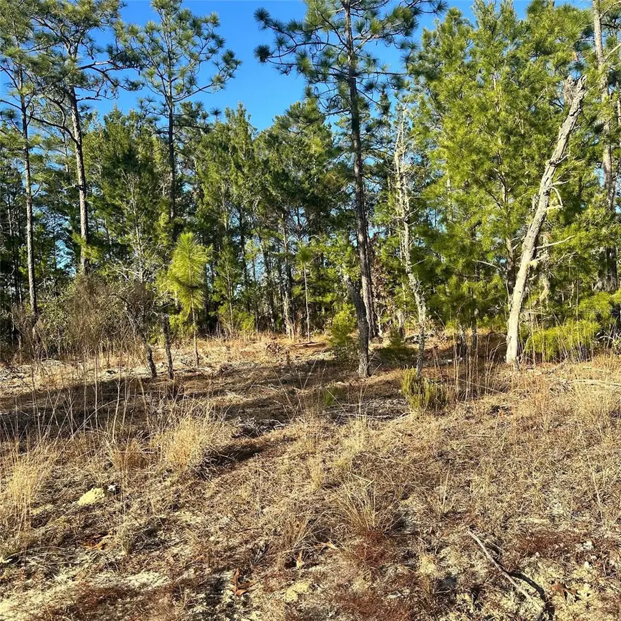 0 Rome Avenue, Interlachen, FL 32148 - Image #3