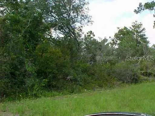 528 Parakeet Avenue, Sebring, FL 33872 - Image #2