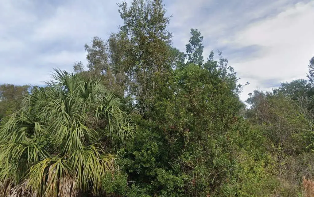 201 N Yellowtail Lane, Punta Gorda, FL 33982 - Image #1