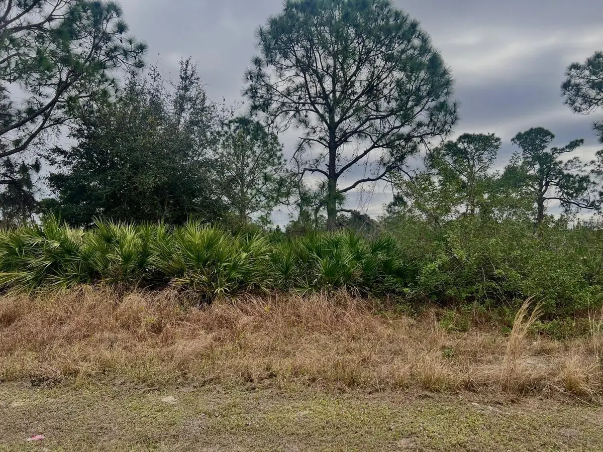 439 Columbus Boulevard S, Lehigh Acres, FL 33974 - Image #1