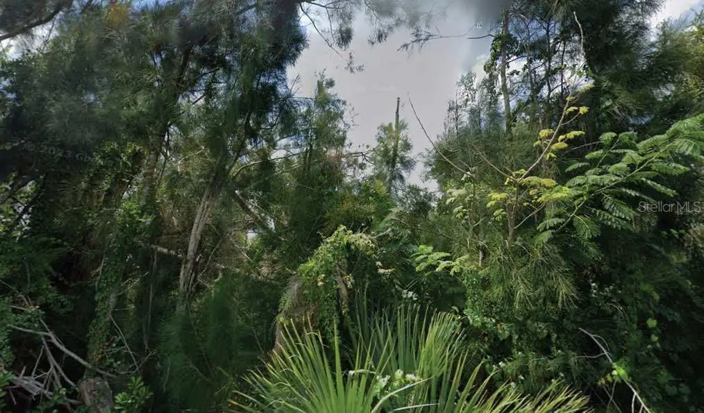 30353 Holly Road, Punta Gorda, FL 33982 - #1