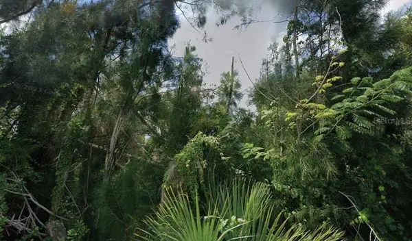 30353 Holly Road, PUNTA GORDA, FL 33982