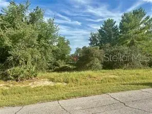 1454 Kissimmee Way, Poinciana, FL 34759 - Image #2