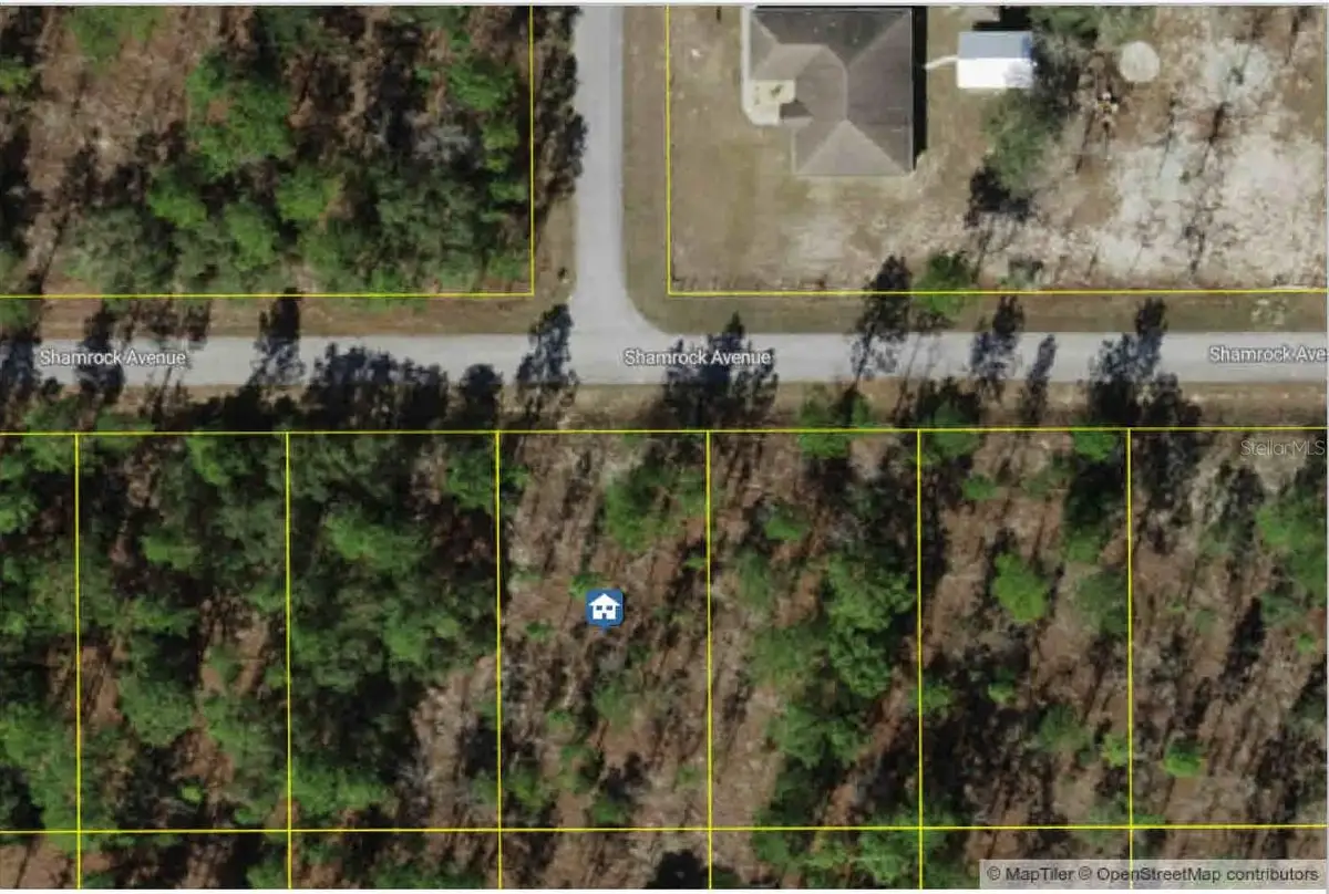 Lot 9 NW Shamrock Avenue, Dunnellon, FL 34431 - #1